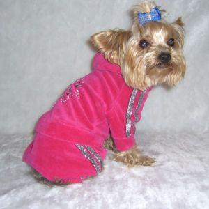 Костюм спортивный "Снежинка" ― интернет магазин Dogs-moda.ru  - модная одежда для собак маленьких декоративных пород.