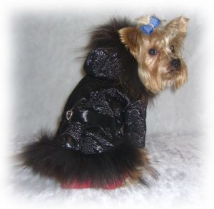 Костюм "Люкс" (лак)(чёрно-красный) ― интернет магазин Dogs-moda.ru  - модная одежда для собак маленьких декоративных пород.