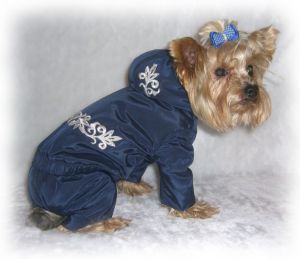 Костюм зимний "Зимушка" (синий) ― интернет магазин Dogs-moda.ru  - модная одежда для собак маленьких декоративных пород.