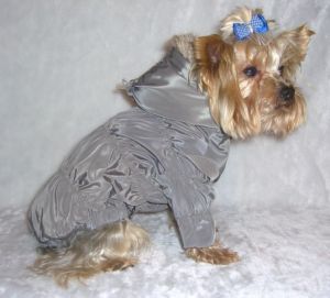 Куртка стёганная (хаки) ― интернет магазин Dogs-moda.ru  - модная одежда для собак маленьких декоративных пород.