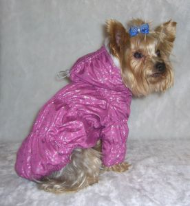 Куртка стёганная (розовый с рисунком) ― интернет магазин Dogs-moda.ru  - модная одежда для собак маленьких декоративных пород.