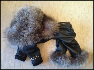 Комбинезон кожаный на той-терьера ― интернет магазин Dogs-moda.ru  - модная одежда для собак маленьких декоративных пород.