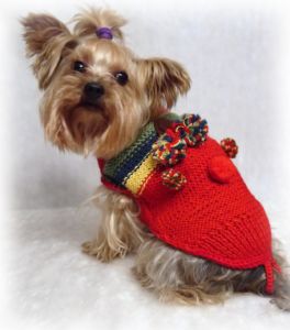 Попона вязанная (красная) ― интернет магазин Dogs-moda.ru  - модная одежда для собак маленьких декоративных пород.