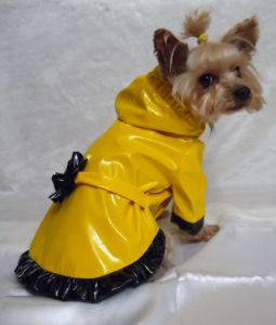Плащ "Фиалка" ― интернет магазин Dogs-moda.ru  - модная одежда для собак маленьких декоративных пород.