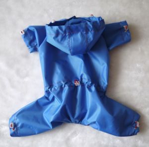 Дождевик с зажимами (синий) ― интернет магазин Dogs-moda.ru  - модная одежда для собак маленьких декоративных пород.