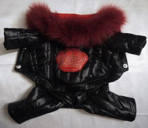 Зимний костюм "Корона" (чёрный) ― интернет магазин Dogs-moda.ru  - модная одежда для собак маленьких декоративных пород.