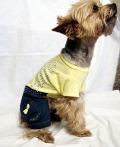 Джинсовый костюм (жёлтый) ― интернет магазин Dogs-moda.ru  - модная одежда для собак маленьких декоративных пород.