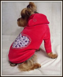 Толстовка "Сердце" ― интернет магазин Dogs-moda.ru  - модная одежда для собак маленьких декоративных пород.