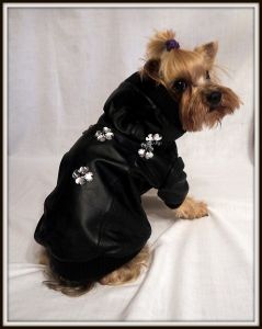Куртка кожанная ― интернет магазин Dogs-moda.ru  - модная одежда для собак маленьких декоративных пород.