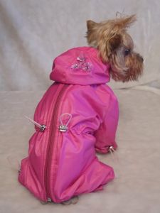 Комбинезон "Осень" ― интернет магазин Dogs-moda.ru  - модная одежда для собак маленьких декоративных пород.