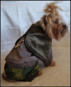 Комбинезон "Military" ― интернет магазин Dogs-moda.ru  - модная одежда для собак маленьких декоративных пород.