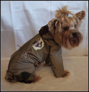 Комбинезон "Армия" ― интернет магазин Dogs-moda.ru  - модная одежда для собак маленьких декоративных пород.