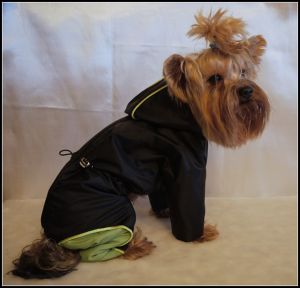 Комбинезон "Неон" ― интернет магазин Dogs-moda.ru  - модная одежда для собак маленьких декоративных пород.