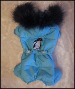 Комбинезон "Пингвин" ― интернет магазин Dogs-moda.ru  - модная одежда для собак маленьких декоративных пород.