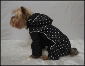 Комбинезон "Элегант" ― интернет магазин Dogs-moda.ru  - модная одежда для собак маленьких декоративных пород.