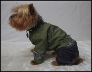 Комбинезон комбинированный ― интернет магазин Dogs-moda.ru  - модная одежда для собак маленьких декоративных пород.