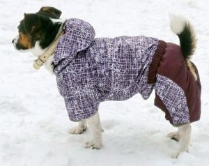 Комбинезон зимний "Фантазия" для мальчиков (бордовый с белым)  ― интернет магазин Dogs-moda.ru  - модная одежда для собак маленьких декоративных пород.