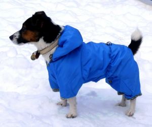 Комбинезон "Самолет" (синий) ― интернет магазин Dogs-moda.ru  - модная одежда для собак маленьких декоративных пород.